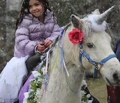 Unicorn Pony Birthday Party